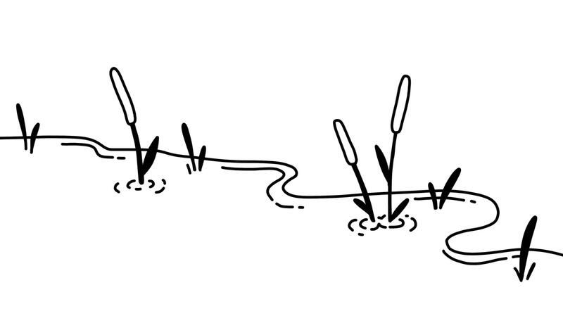 cattails | Frame