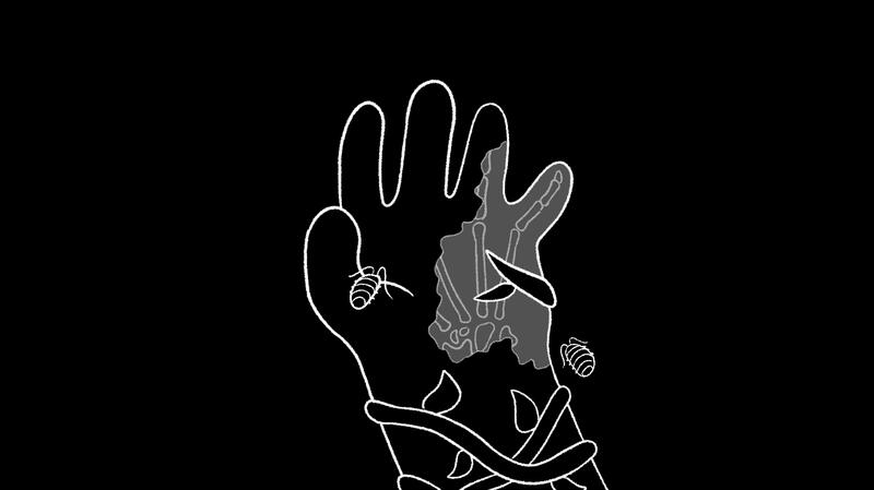 bugs crawled in the hallow spaces of your bones | Frame